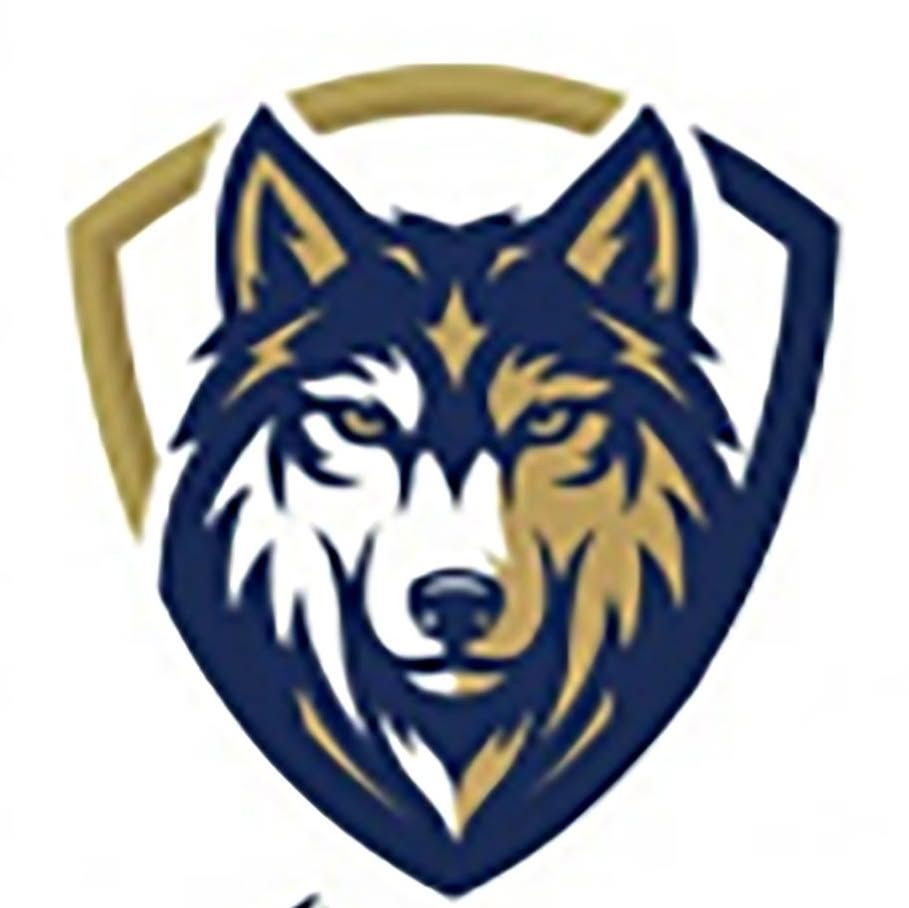 Wolf Talent Partners's icon