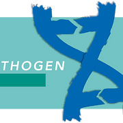 ORTHOGEN
