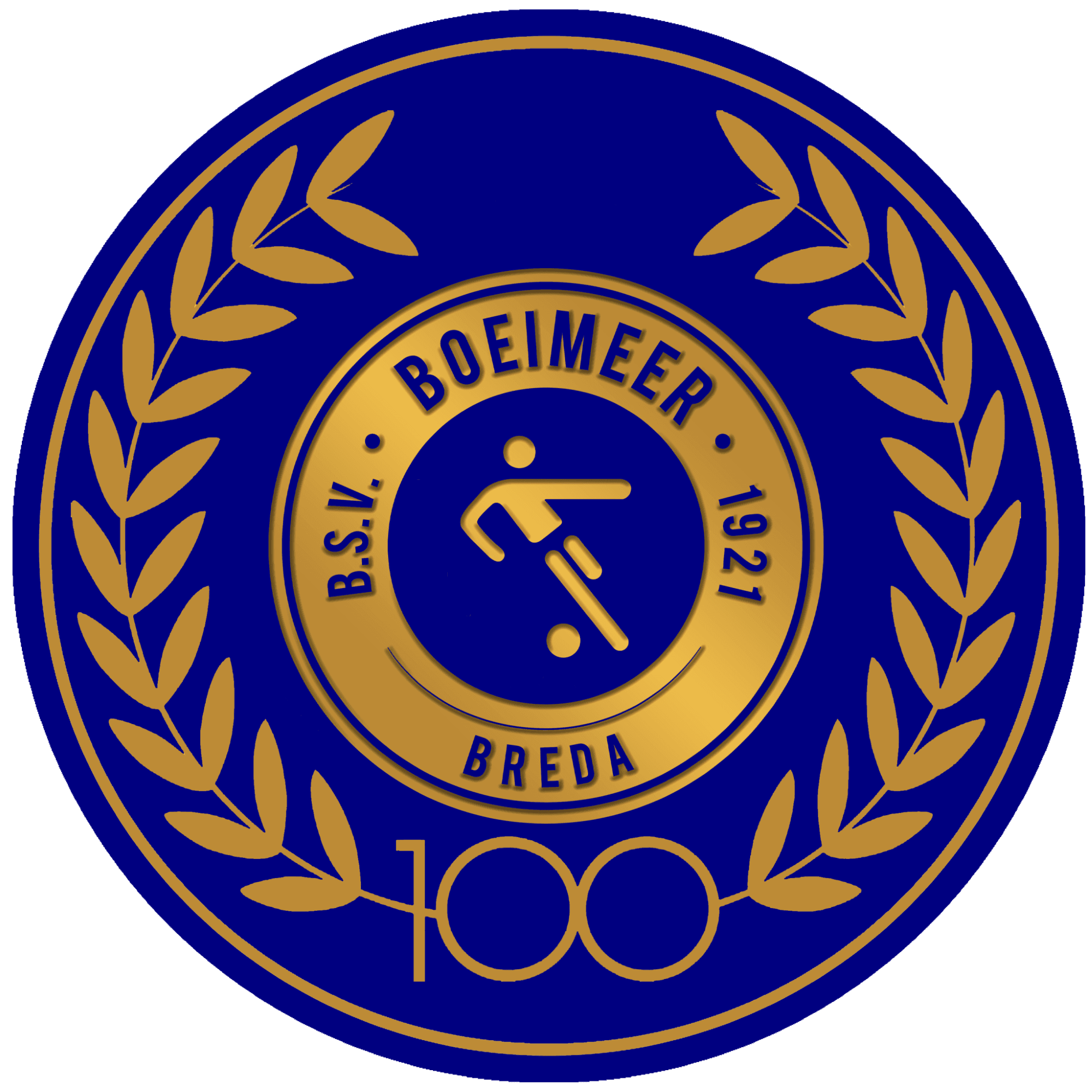 BSV Boeimeer