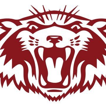 Plano Wildcat Football's icon