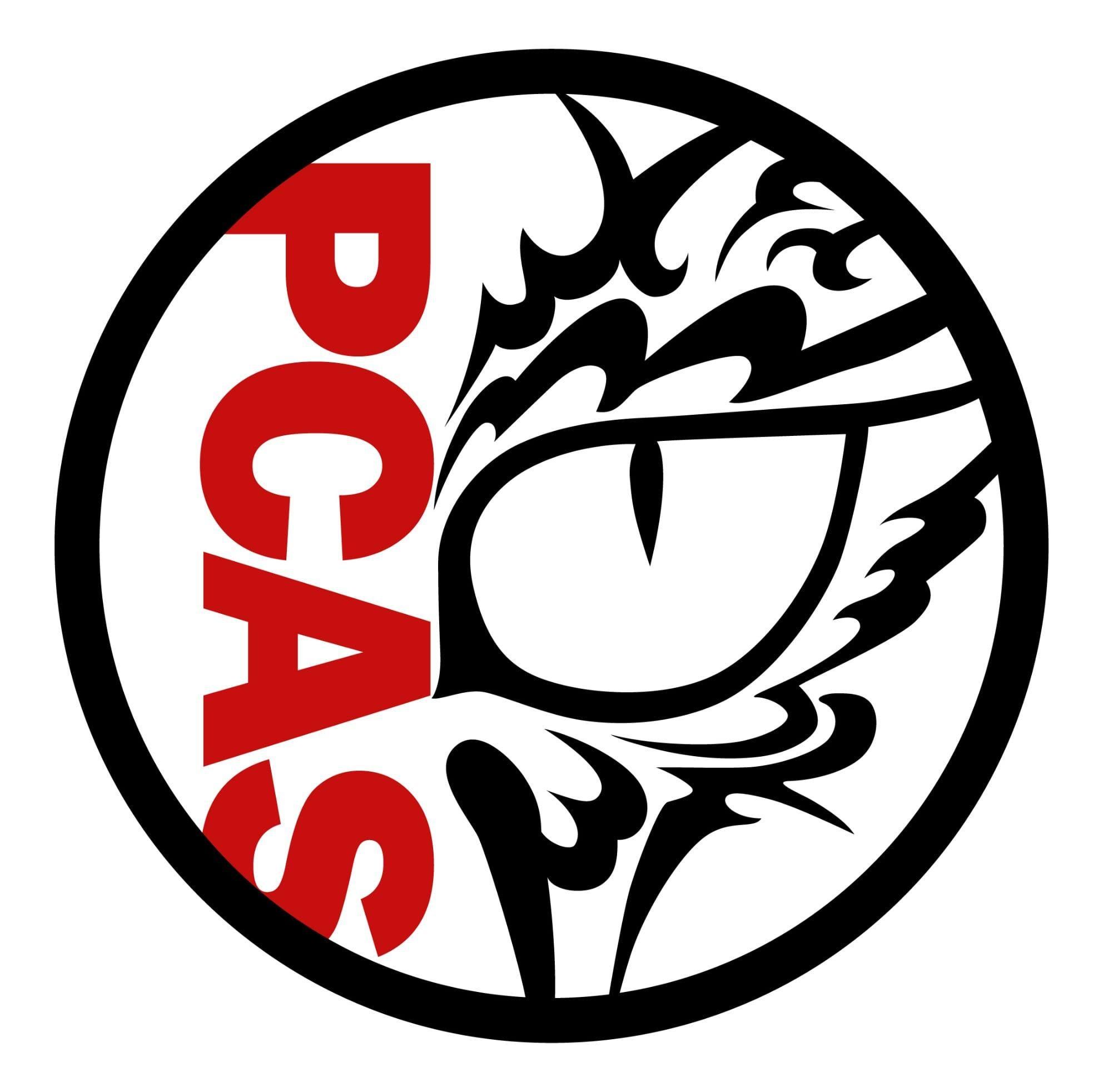 pcasallatmentes.hu's icon