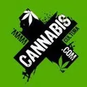 – Cannabis Cultura's icon