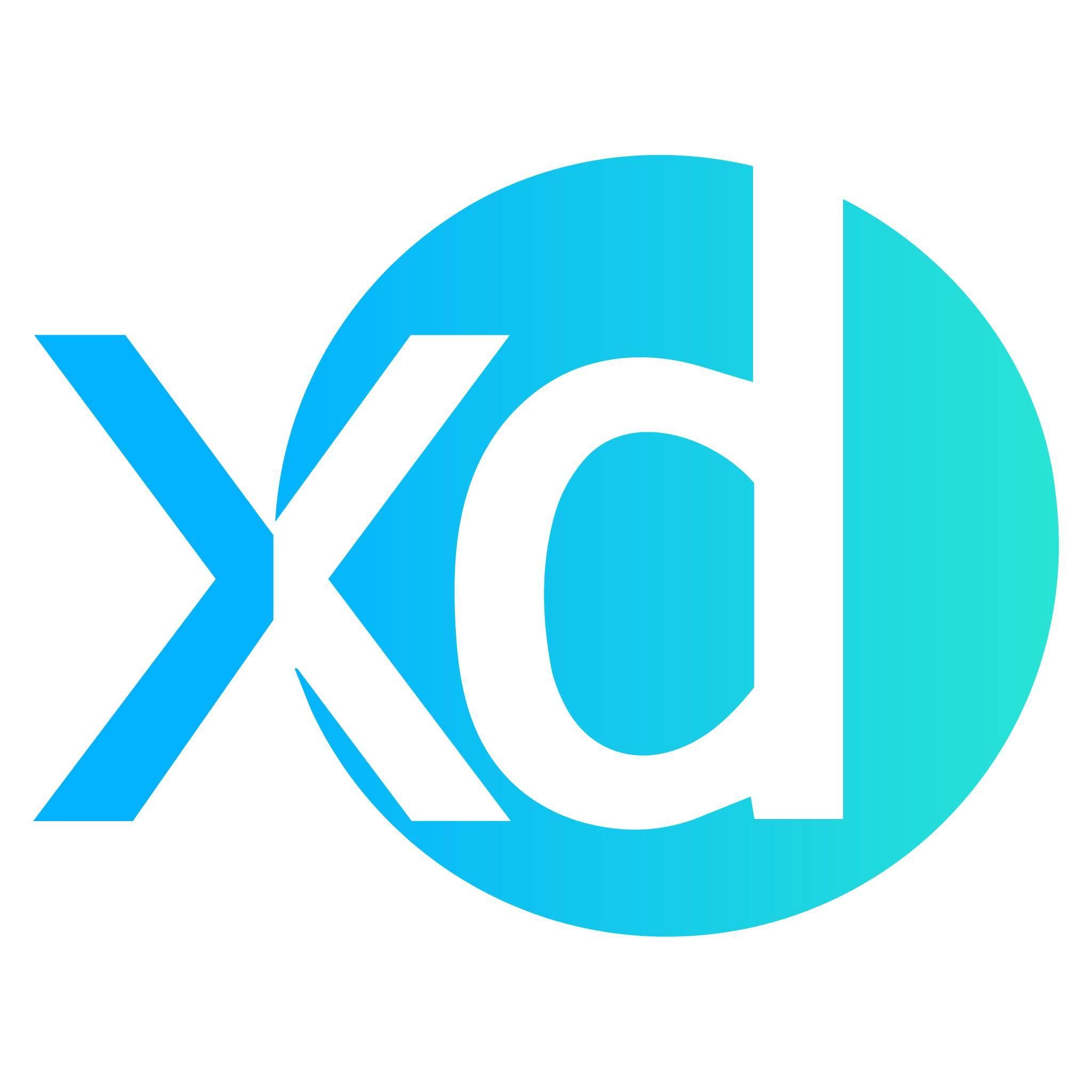 Xpert Digital's icon