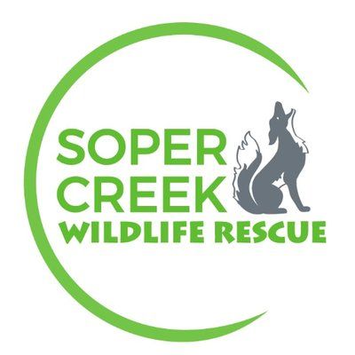 Soper Creek Wildlife's icon