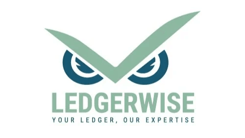 teamledgerwise.com