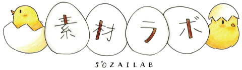 Sozailab's logos
