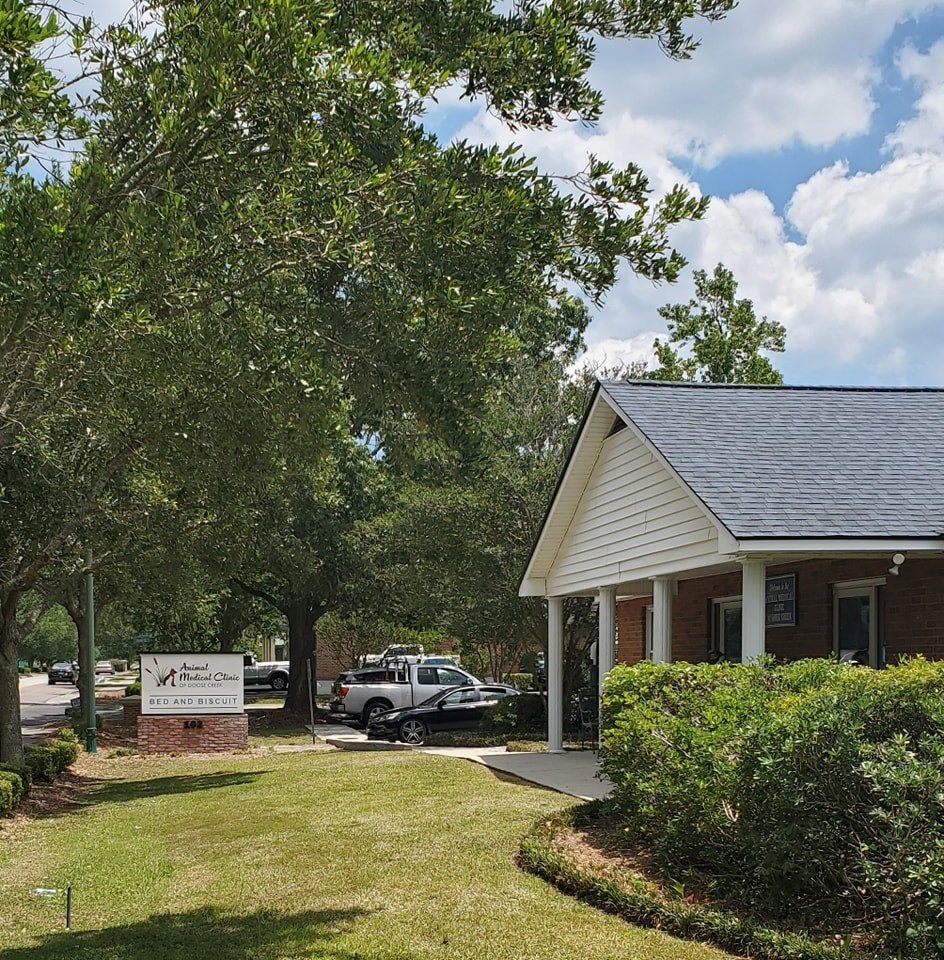 Animal Medical Clinic of Goose Creek's icon