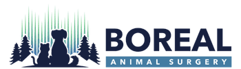 Boreal Animal Surgery's logos