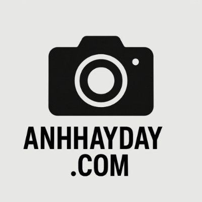 Anhhayday's icon