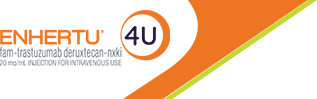 ENHERTU4U's logos