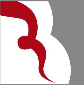 rb-shooting.com's icon