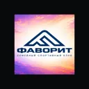 favoritsportclub.ru's icon