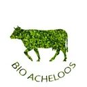 Bio Acheloos's icon