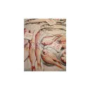 Jarrah Johnson's icon