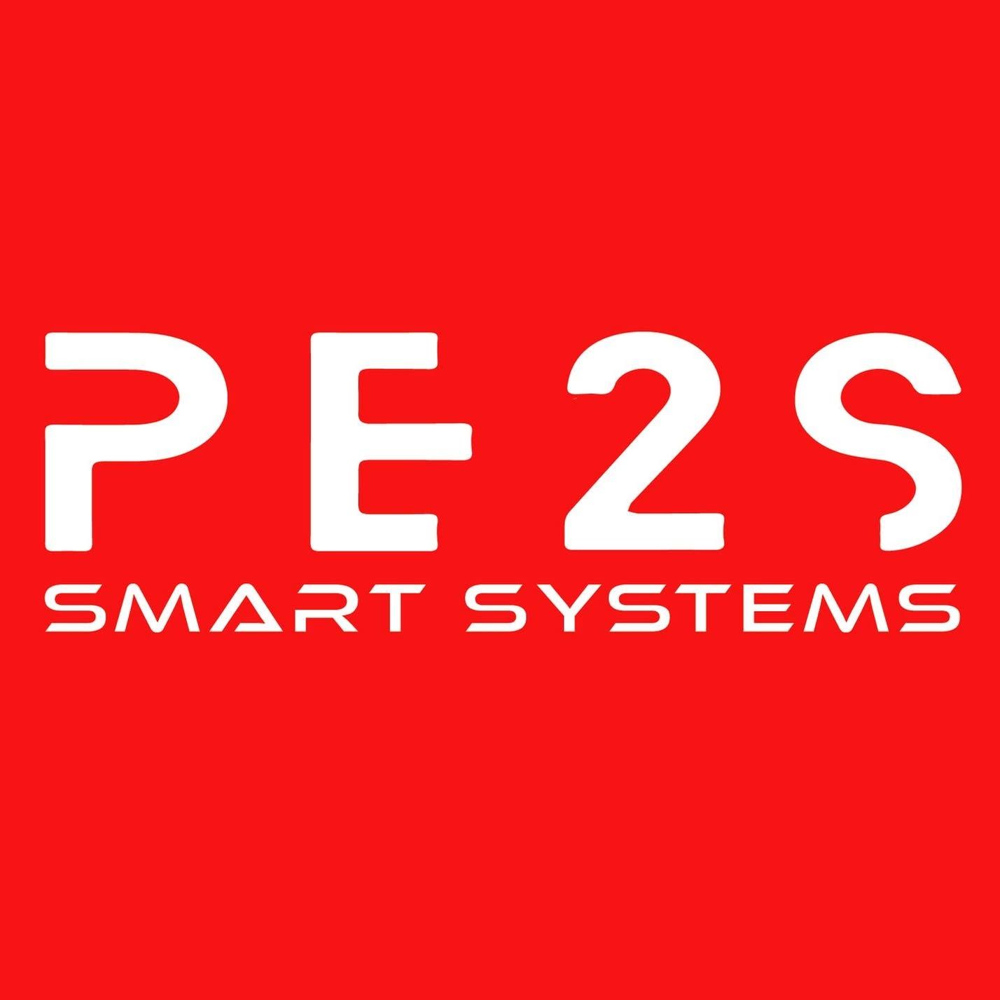 PE2S's icon