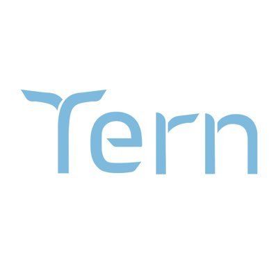 Tern's icon