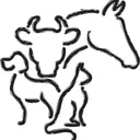 Steffan Vets's icon