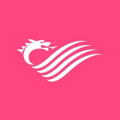 Welsh Parliament's icon