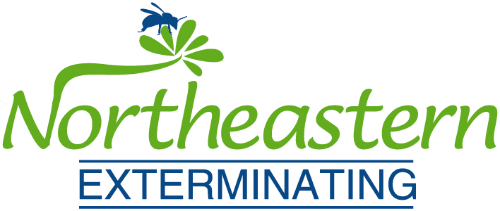 Northeastern Ext's logos