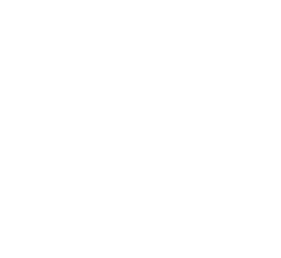 Wellington boxing's logos