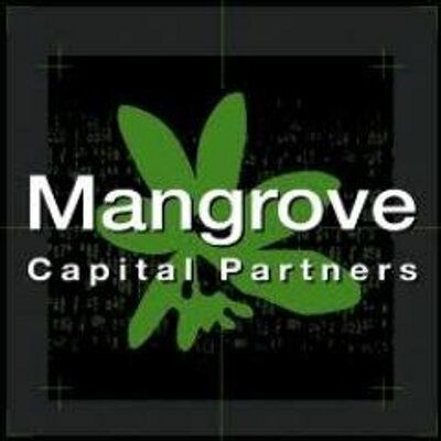 Mangrove Capital's icon