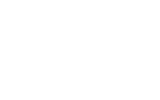 Xyra Foods's logos