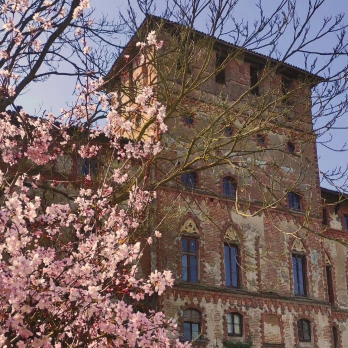Castello di Piovera's icon
