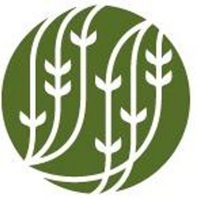 פַּלֶה דֶּה תה's icon