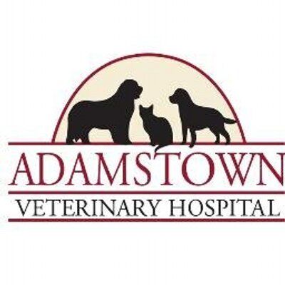 Adamstown Veterinary Hospital's icon