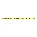 northerncross-co.com's icon