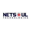 Netsoul Technologies's icon