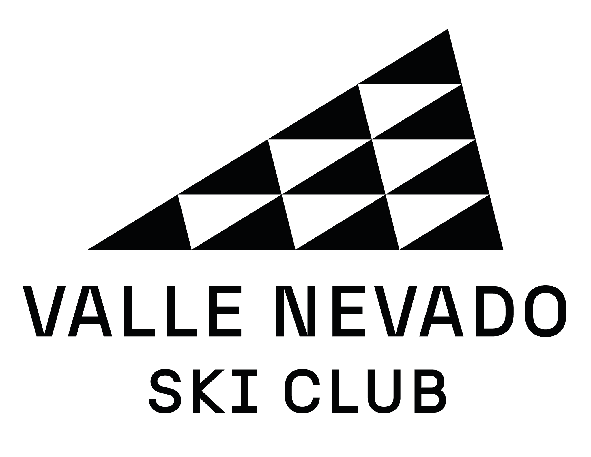 Club Valle Nevado's logos
