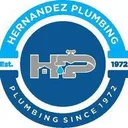 plumbinginmiamifl.com's icon