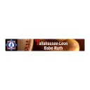 tallahasseebaberuth.org's icon