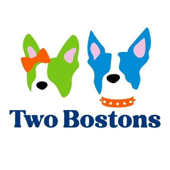 Two Bostons's icon