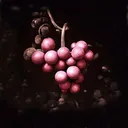 Greywacke's icon