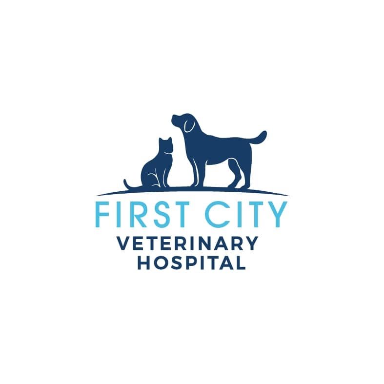 First City Veterinary Hospital's icon