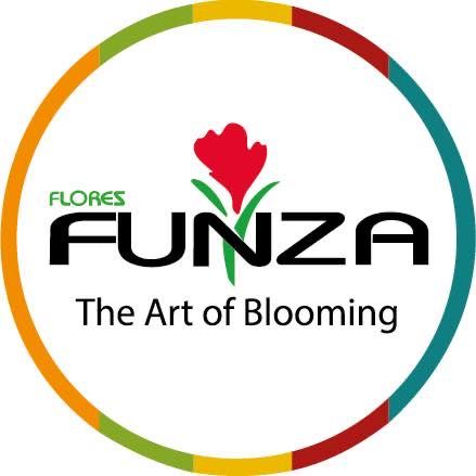 Flores  Funza's icon