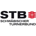 STB's icon