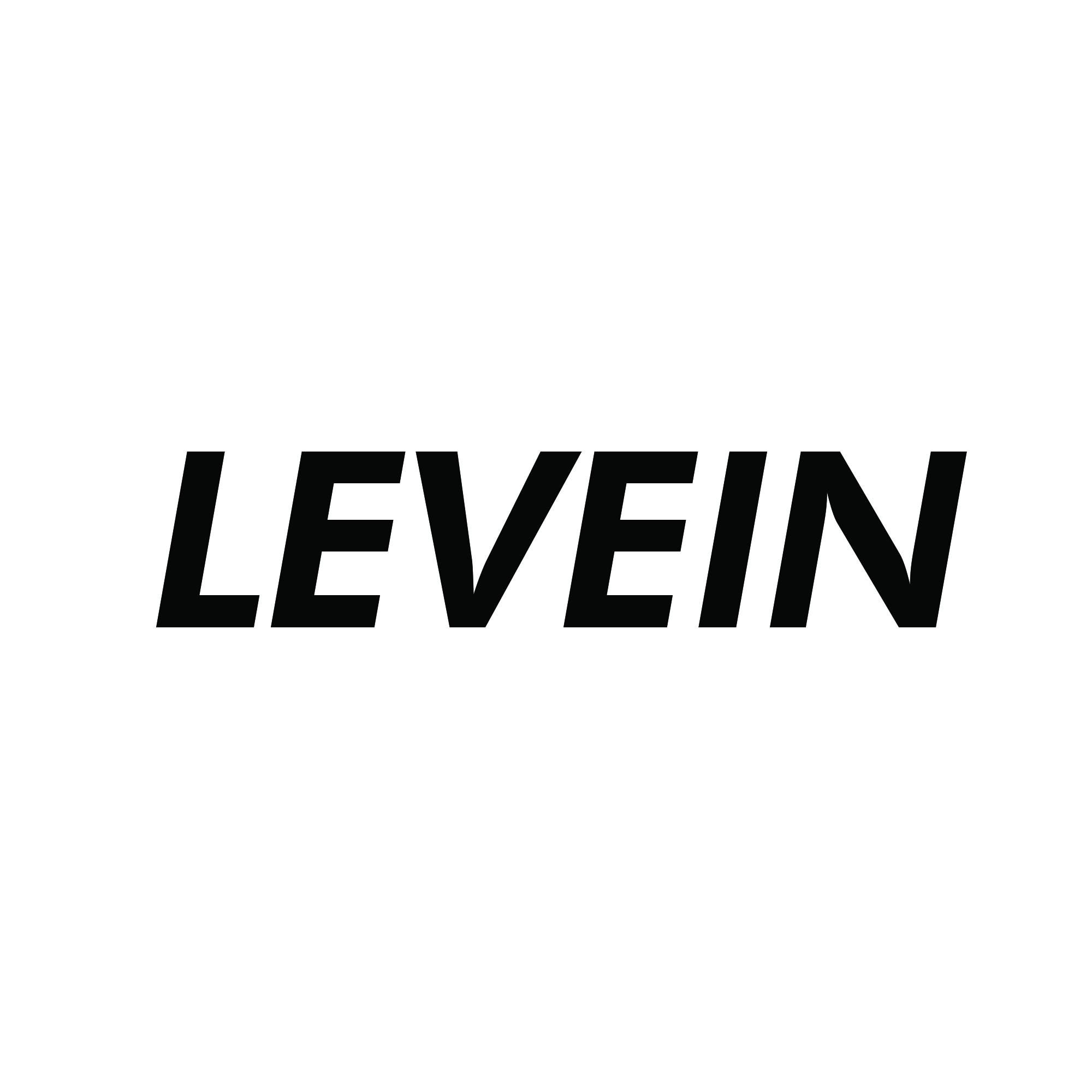 Levein Group's icon