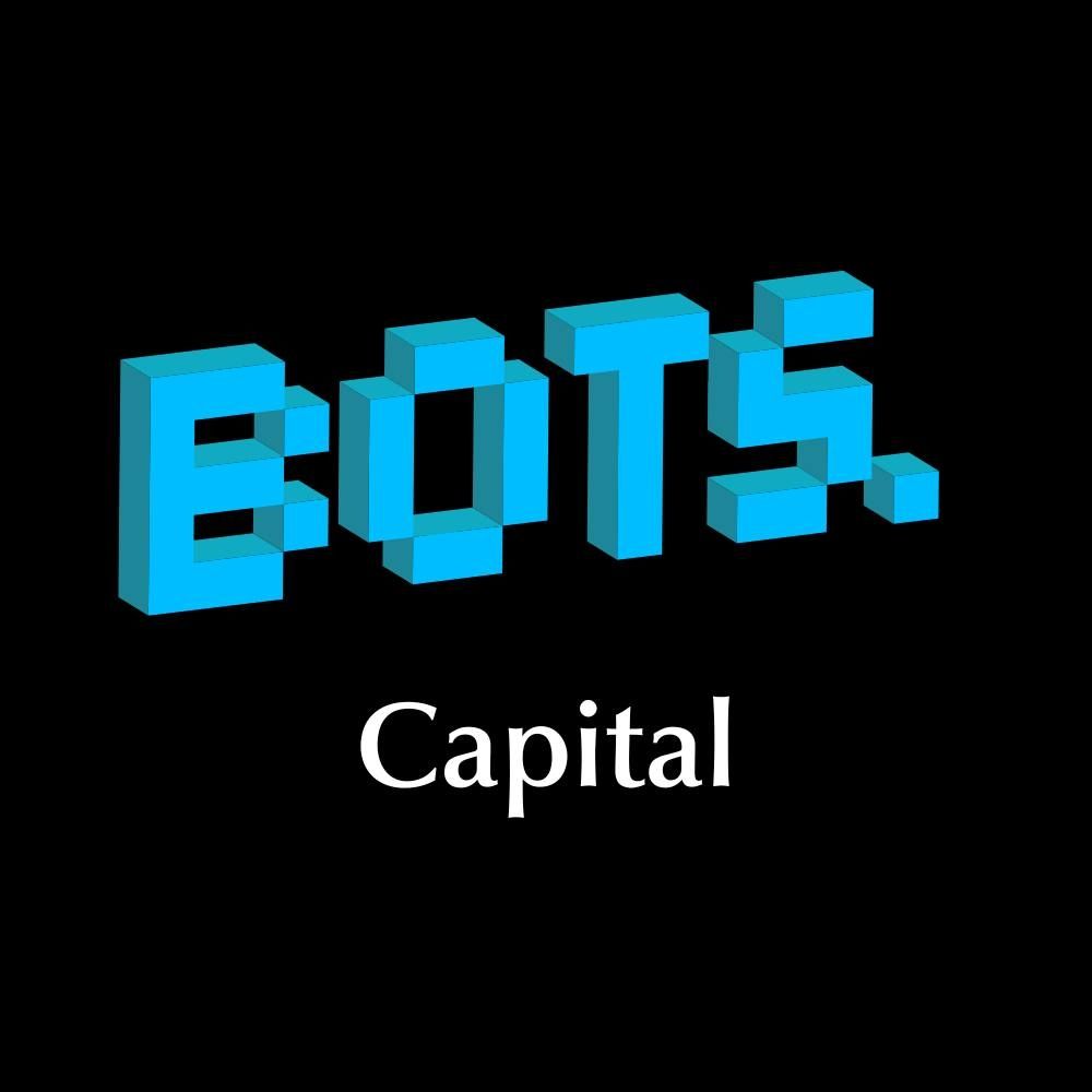 BOTS Capital's icon