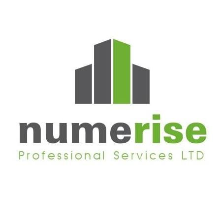 Numerise Professional Services Ltd's icon