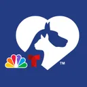 Clear the Shelters's icon