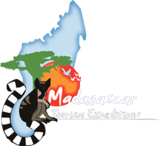 Madagascar Tourism Expeditions's logos