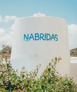 Nabridas's logos