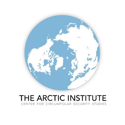 The Arctic Institute's icon