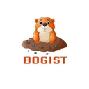 BogistShop's icon