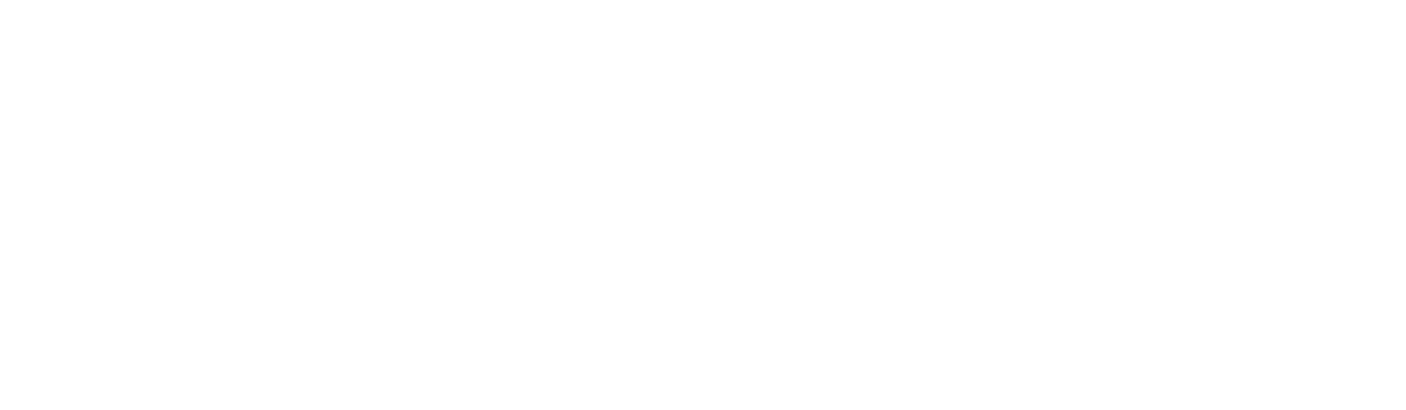 Promo International, Inc. logo