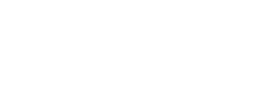 Dataflex's logos
