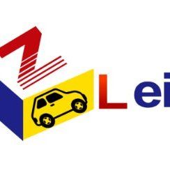 Leiz International's icon